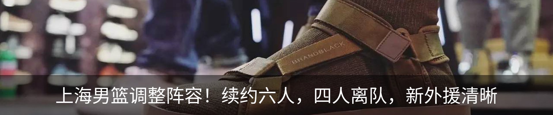 最新动态