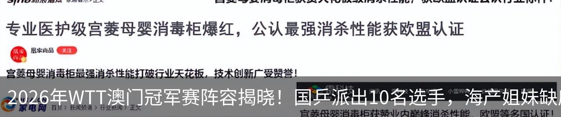 最新动态